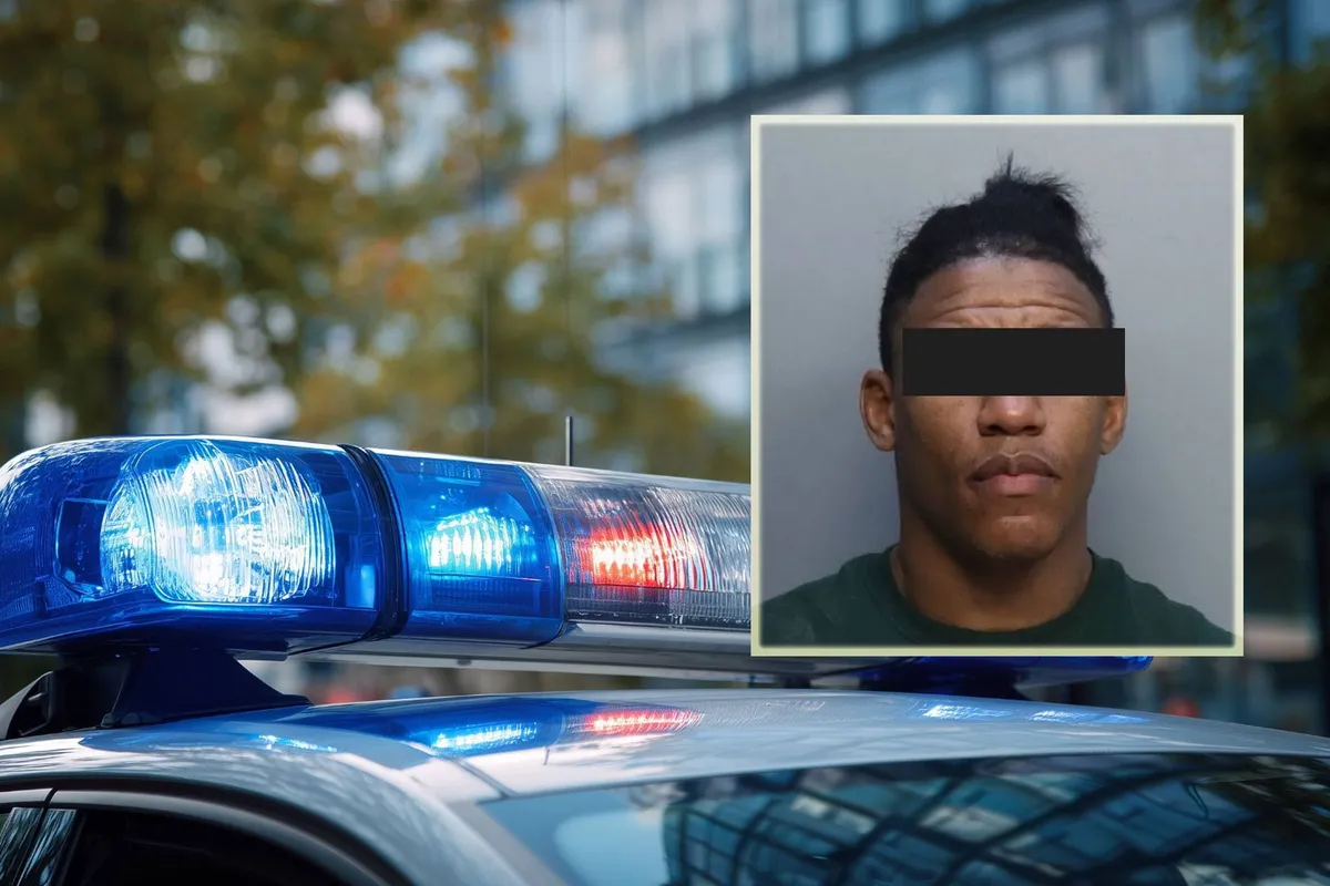 Absurd! UFC topvechter werd neergestoken - dader keert gewoon terug