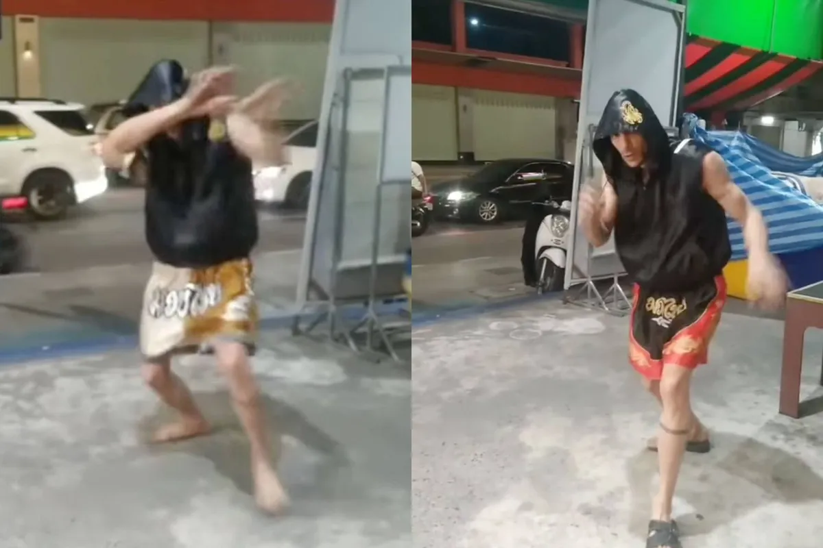 Vechtexpert of grote grap? Deze man vecht als een dronken flamingo!