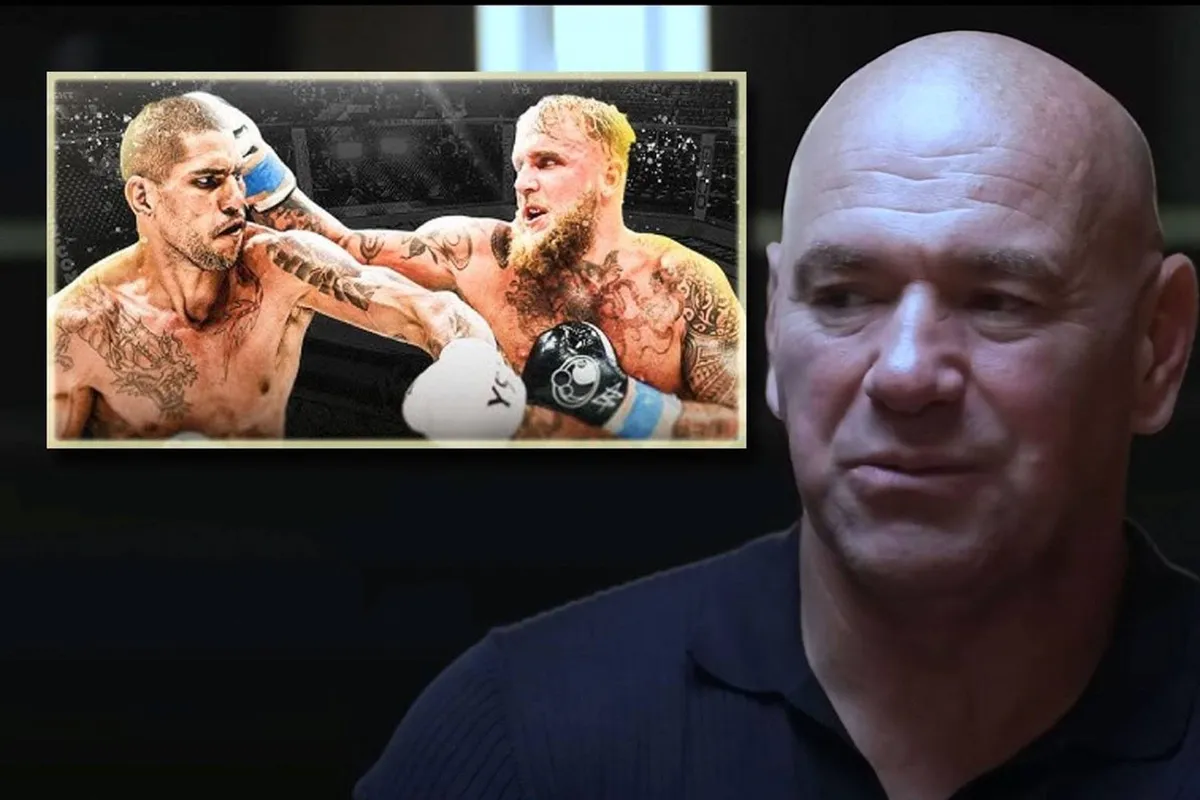 Boksen is terug! UFC-baas White pakt door - elke maand groot Zuffa event!