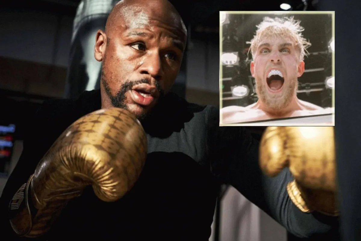 Jake Paul lacht boksheld Mayweather uit: ‘Hij heeft maar een kleintje’