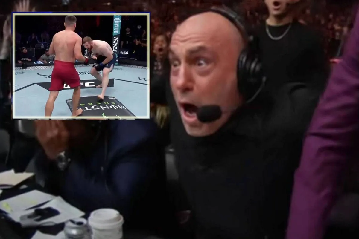 Joe Rogan ontploft: 'Zo worden UFC-vechters beroofd van hun bonussen'