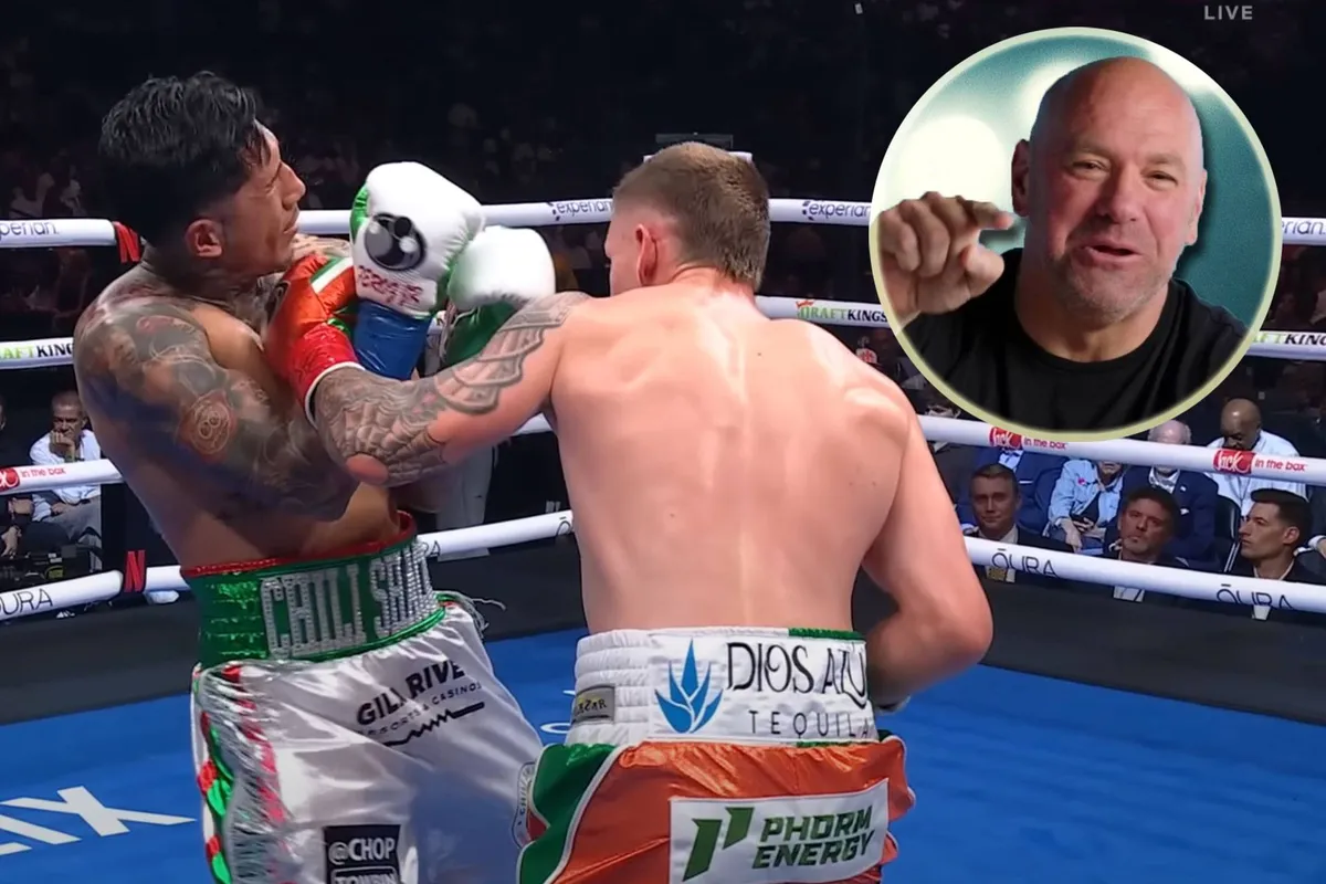 UFC-baas zet bokswereld op z’n kop met Nederlands talent en zes topvechters?