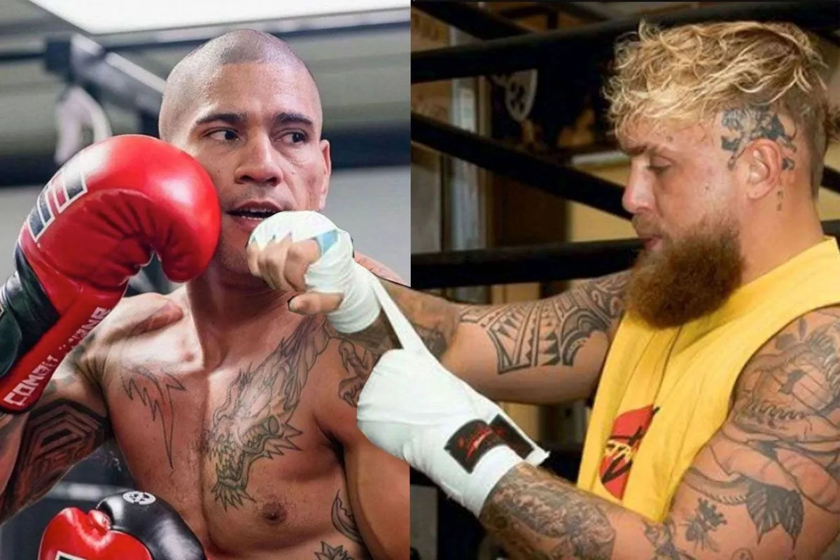 Jake Paul daagt UFC-ster Pereira uit en krijgt onverwacht antwoord