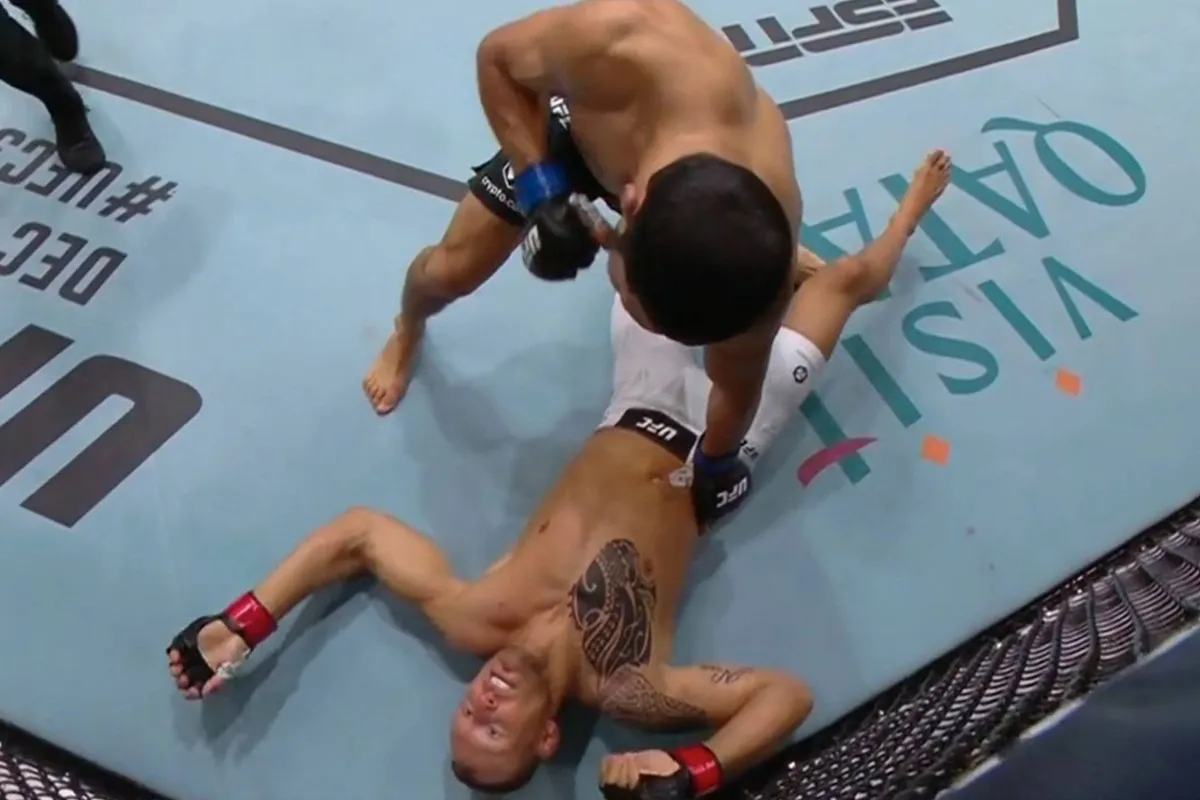 Alsjeblieft, stop! Fans eisen pensioen UFC vechter na zoveelste verliespartij