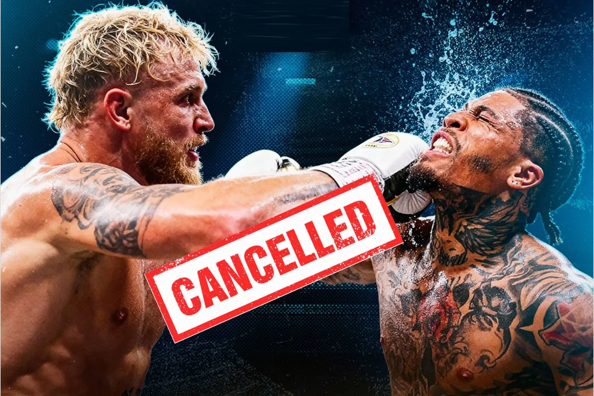 'Stuk vuil!' Jake Paul zegt Davis Netflix gevecht af na videobewijs mishandeling vrouw