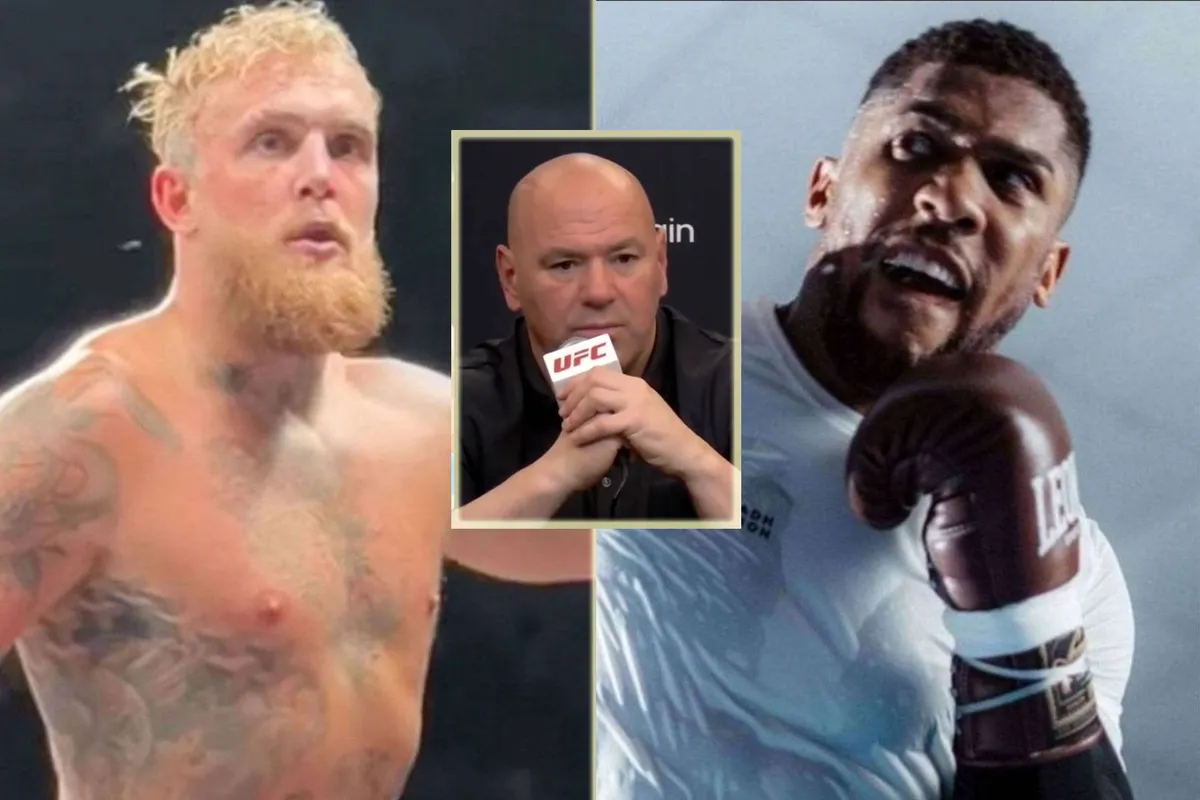 UFC-baas fileert Jake Paul vs Joshua gevecht: 'Iedereen wil het zien om maar één reden'