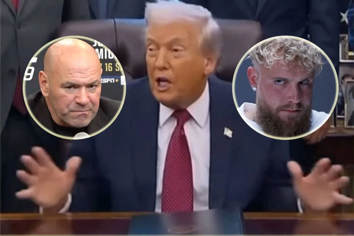 ‘De sfeer was ijskoud’ – Jake Paul en UFC-baas in ongemakkelijke confrontatie met Trump