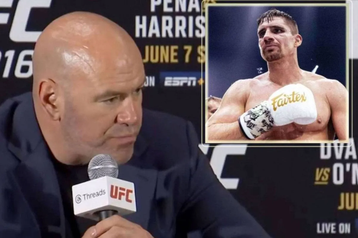 UFC-baas White wil Rico Verhoeven niet – ‘Domme blunder’, zegt analist Ellis