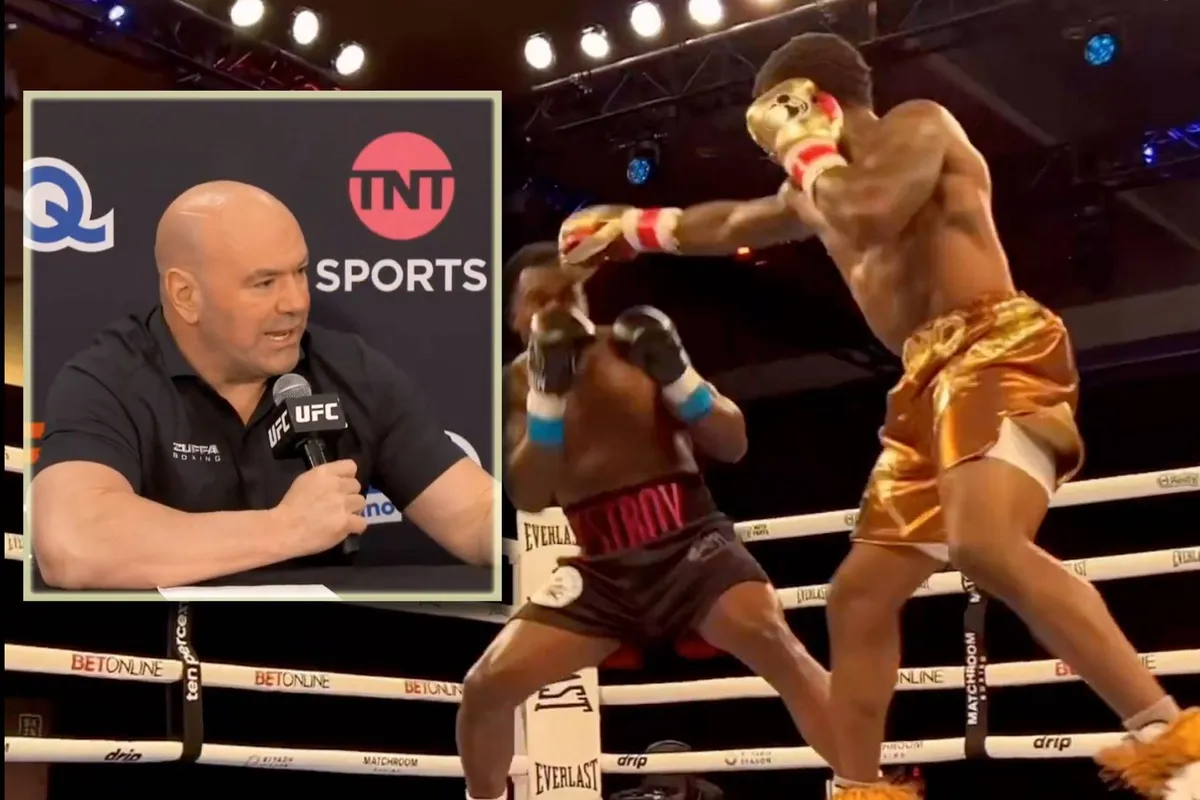 “Boksverbod voor UFC-vechters”: Eindbaas Dana White zet streep door plannen