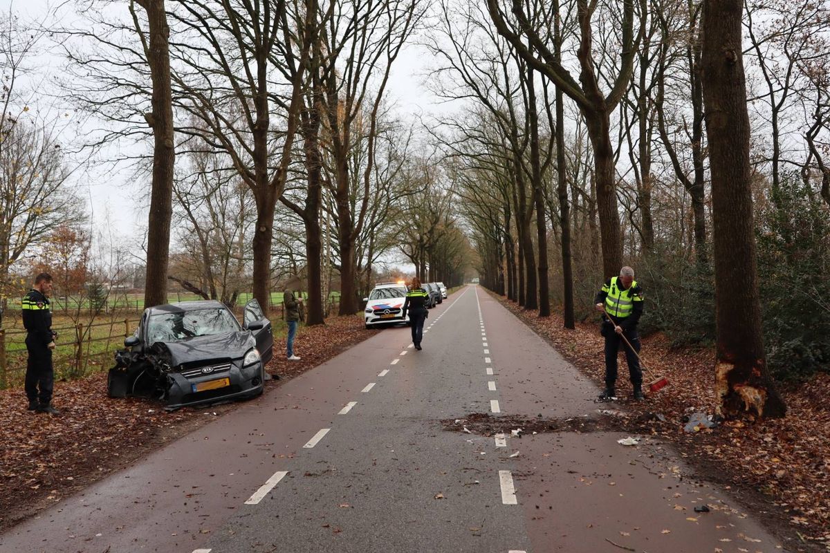 Auto botst tegen boom op de Kegelaar in Kaatsheuvel; bestuurder naar ziekenhuis