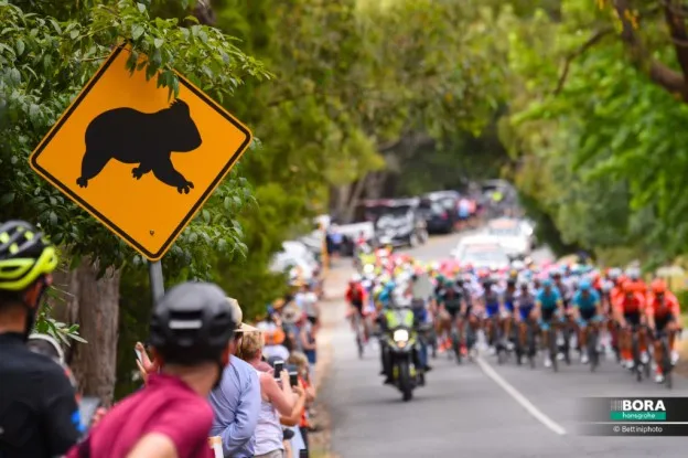 Reacties etappe 5 Tour Down Under | Ewan: 'Ik probeerde mezelf te beschermen'