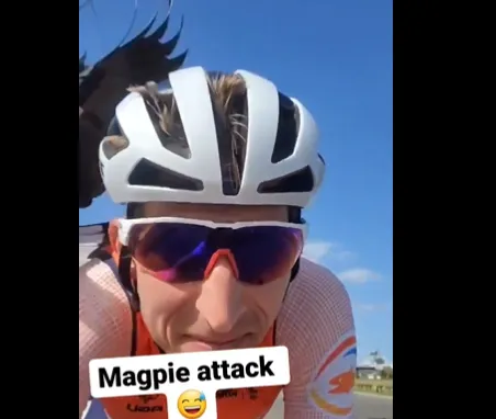 🎥 Vogels houden niet van Bauke Mollema: Nederlander krijgt na training ook in Mixed Relay bezoek