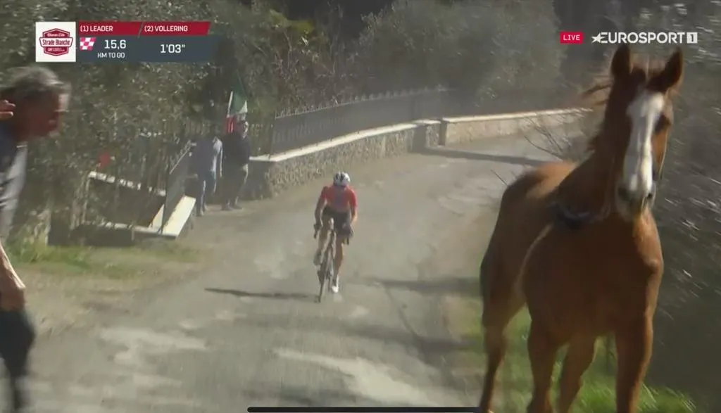 📽 Bizar: loslopend paard zit achtervolgster Vollering in de weg in volle finale Strade Bianche
