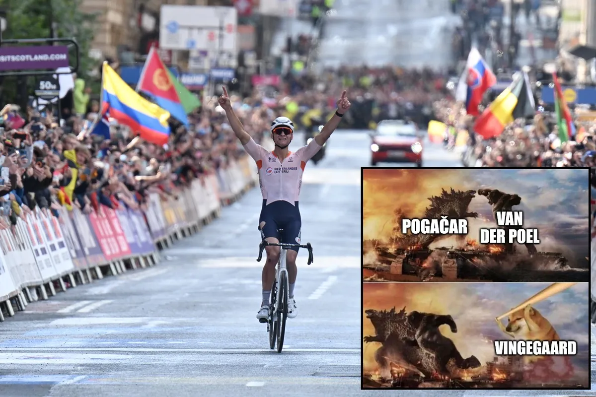 mathieu van der poel 64cfdcb1a3bd3