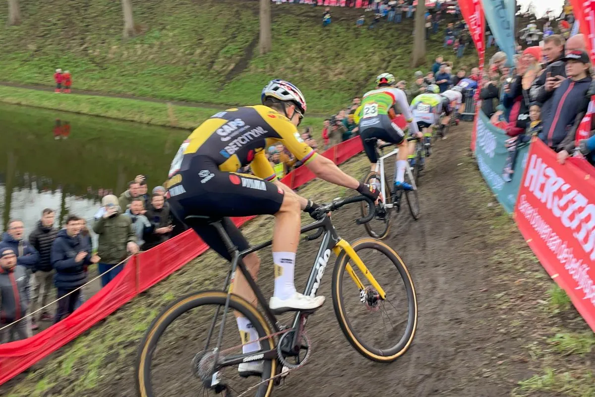 woutvanaert