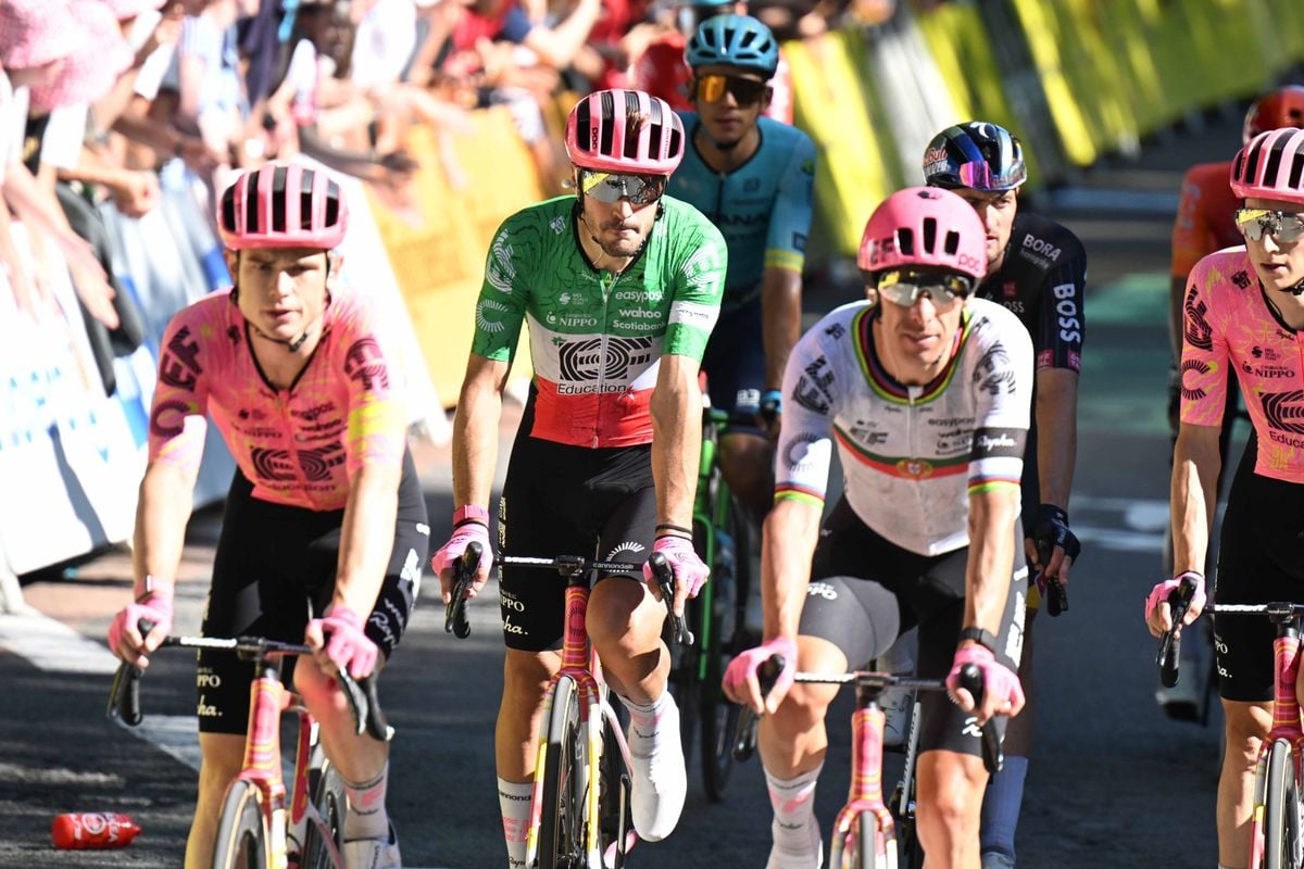 LIVE etappe 8 Tour de France 2024 | EF direct bij de pinken, net als bollentrui Abrahamsen
