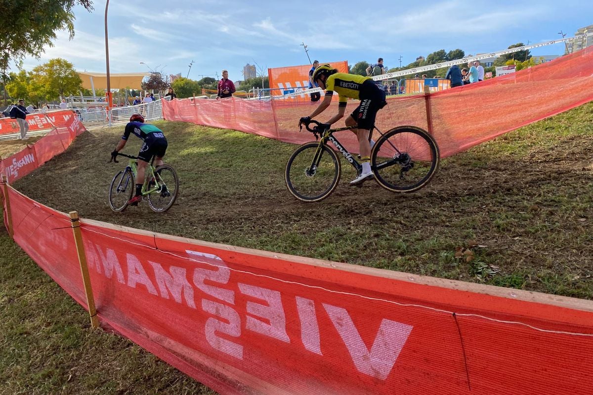 Benoot en Valtter voor Van Aert, maar Van Empel, Vos en co konden qua support zelfs op een bij en imker uit eigen ploeg rekenen