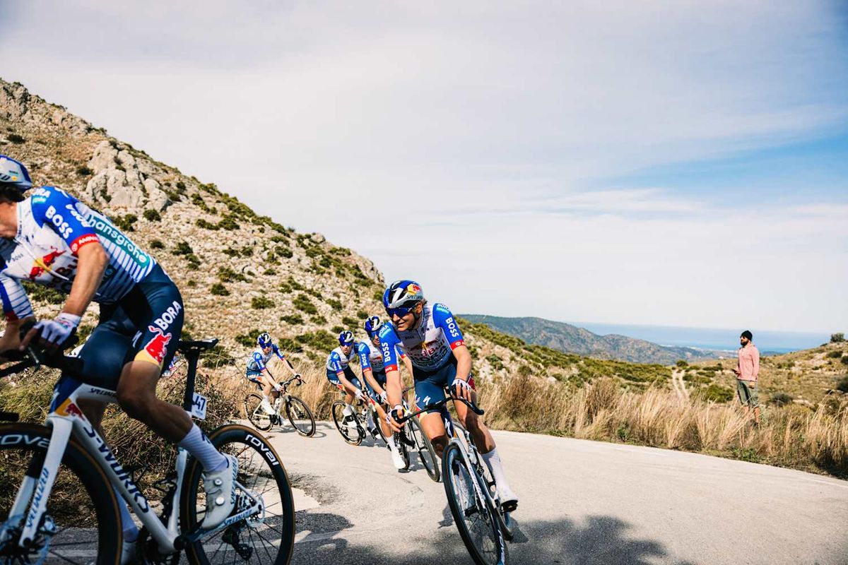 Evenepoel teammate Herzog notices new ‘aura’ in peloton: “You automatically get more respect”