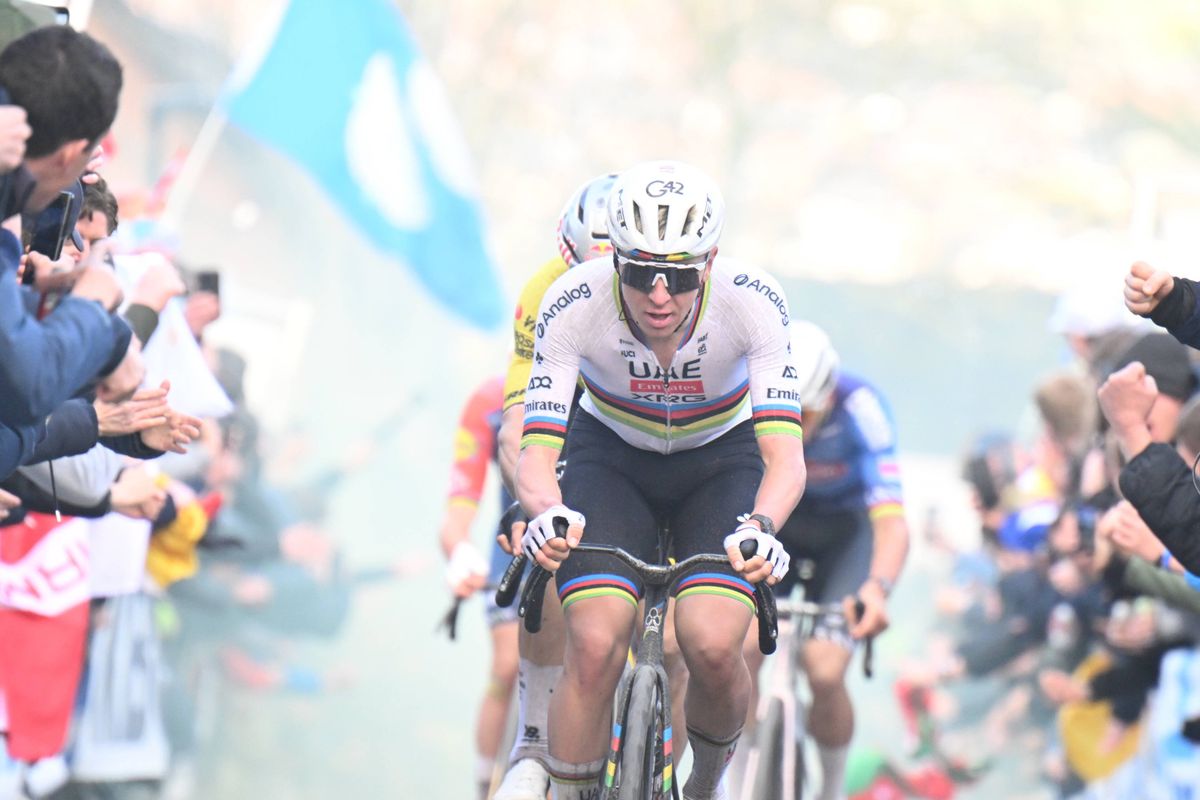 An analyst's alarming thought: “It occurred to me that Pogacar was also training in Flanders for Roubaix”