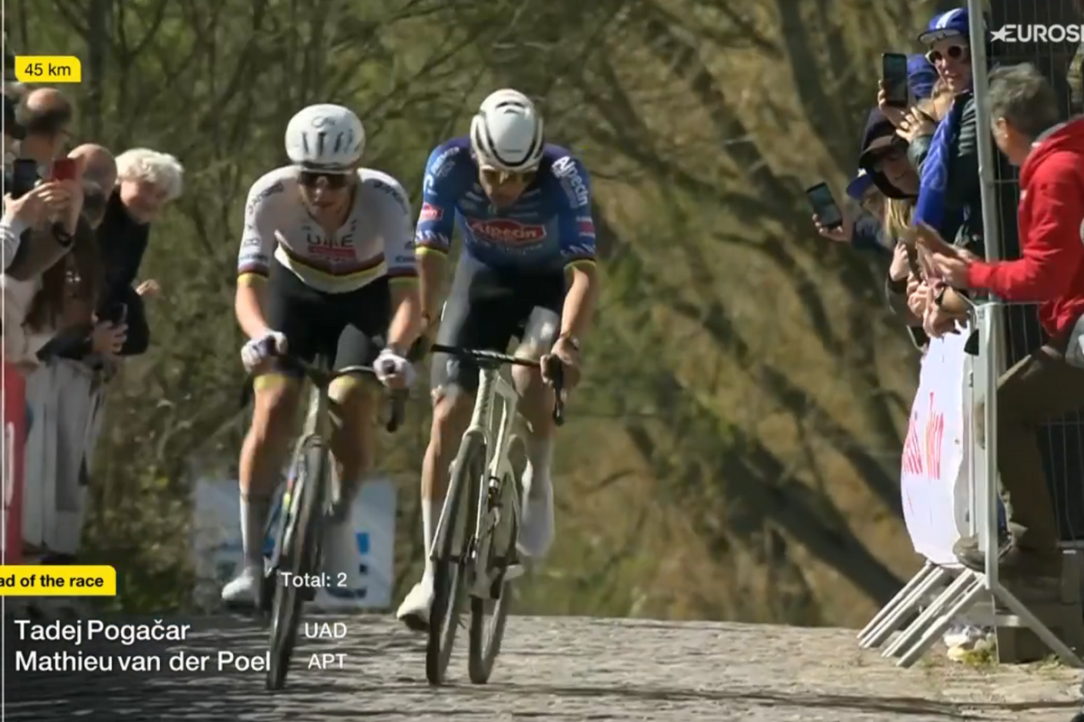 Should Van der Poel have played more games? “It’s not like I was doing huge turns”