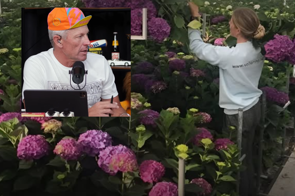 Lance Armstrong amazed by Demi Vollering’s flat Dutch roots: ‘No flatter place on earth’