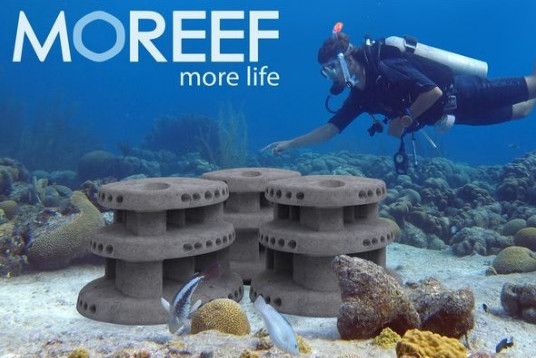 Kunstmatig koraal moet echte koraal weer doen herleven