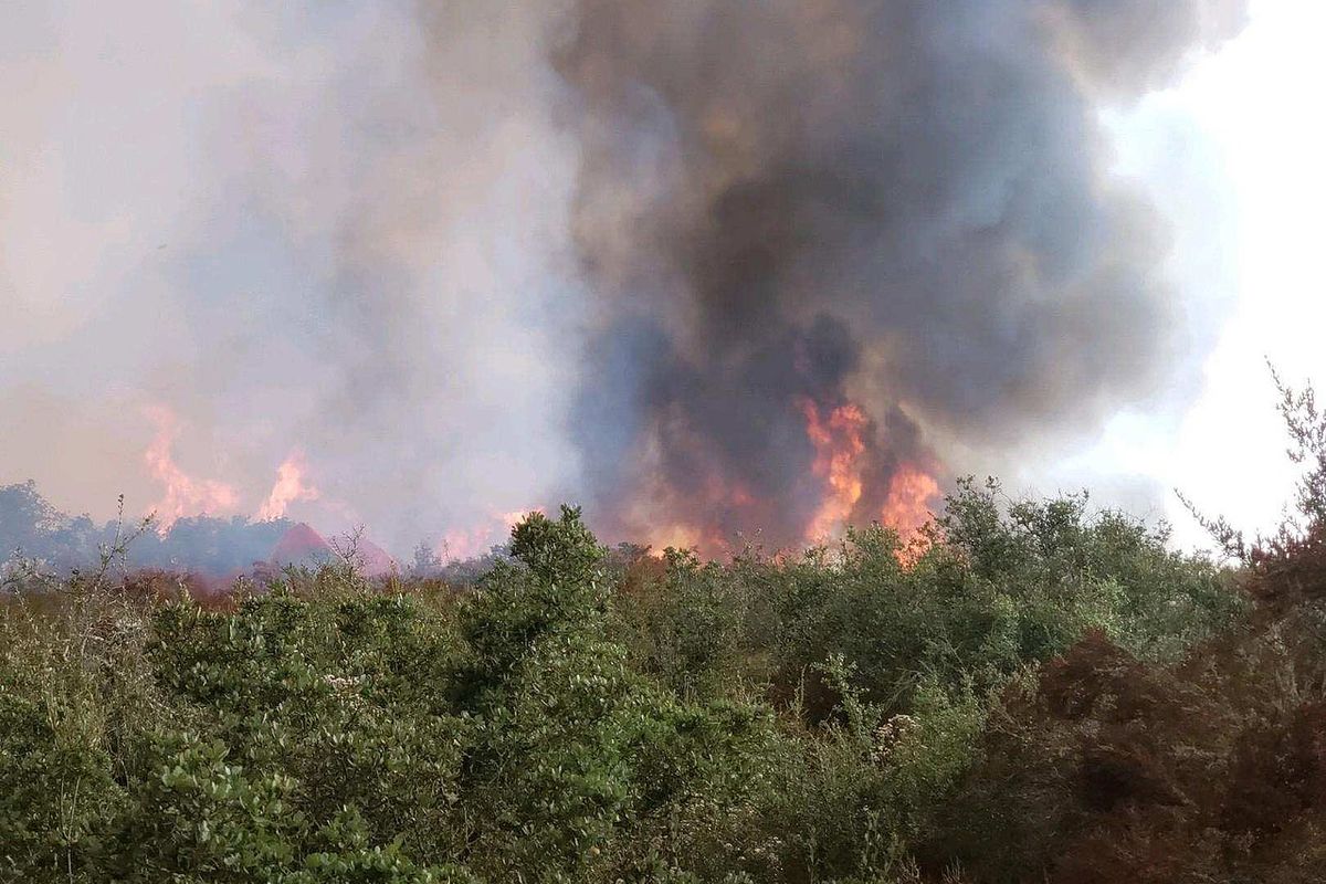 Bosbranden in Californië kennen geen seizoenen meer