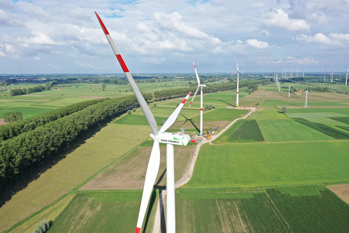 De Vogelbescherming tegen windturbines op sommige locaties: 'Trekken aan de bel'