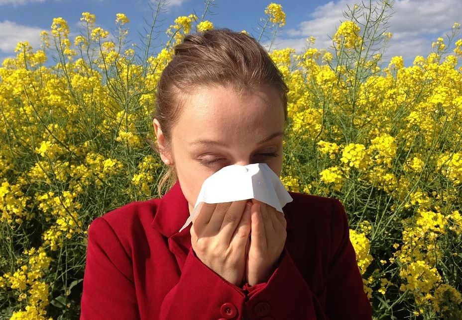 Pollenseizoen gaat steeds langer duren dan 'normaal'