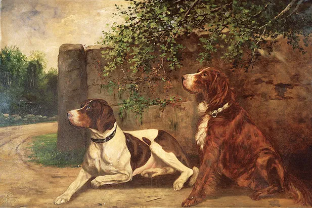 Honden kunnen net zo puberaal zijn als mensen