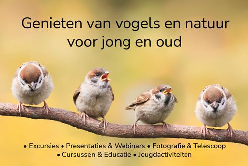 Presentatie “Exclusieve blik op Borneo”