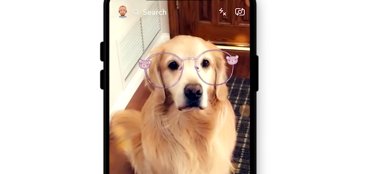 Snapchat lenzen werken nu ook bij je hond