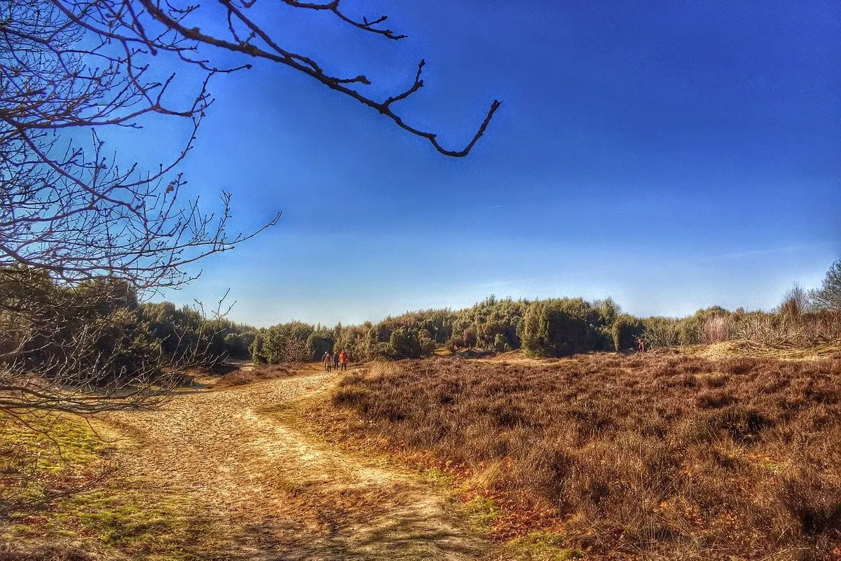 Drie nominaties voor de Cultuurfonds Drenthe Cultuurprijs en drie nominaties voor de Cultuurfonds Drenthe Natuurprijs