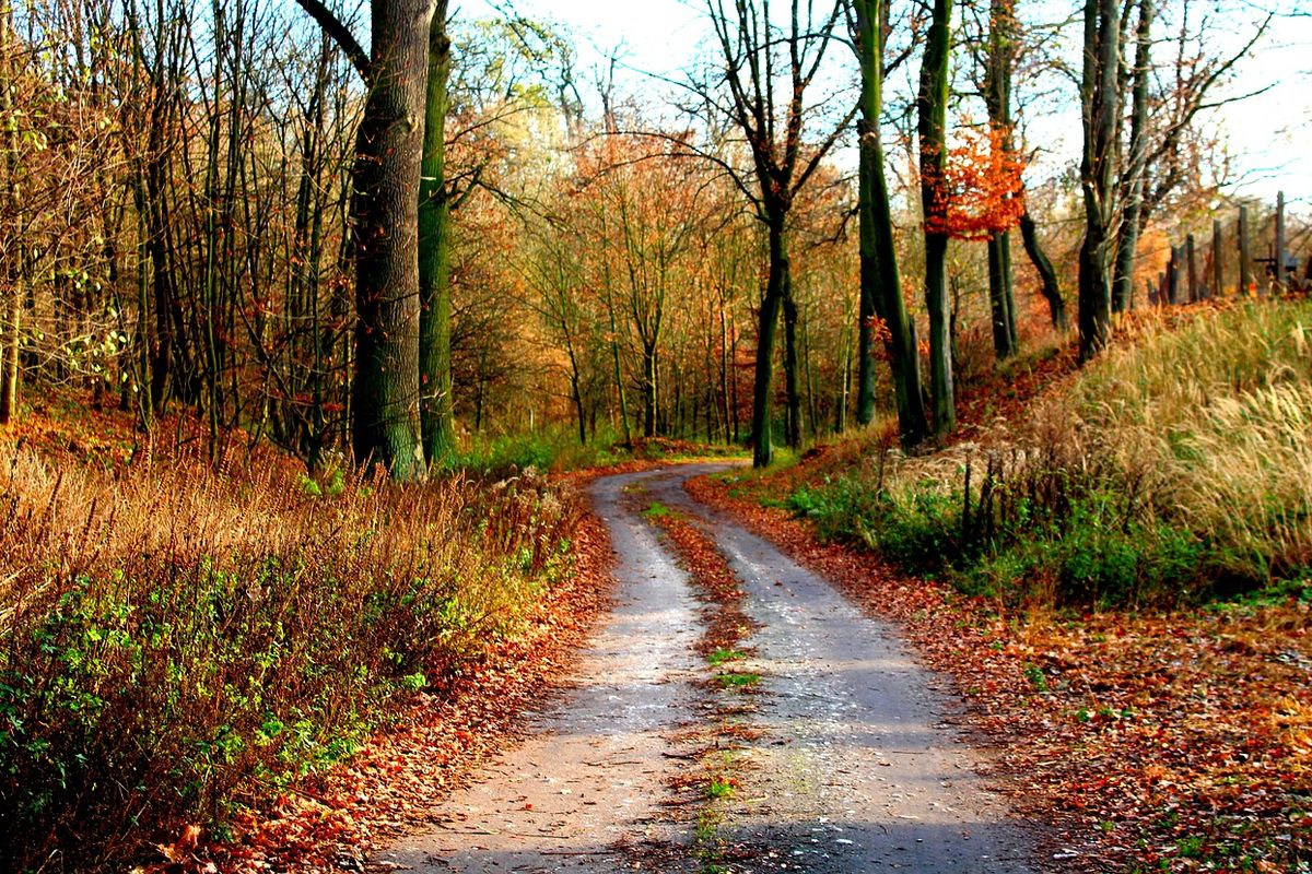 Onstuimig en wisselvallig weer komend weekend