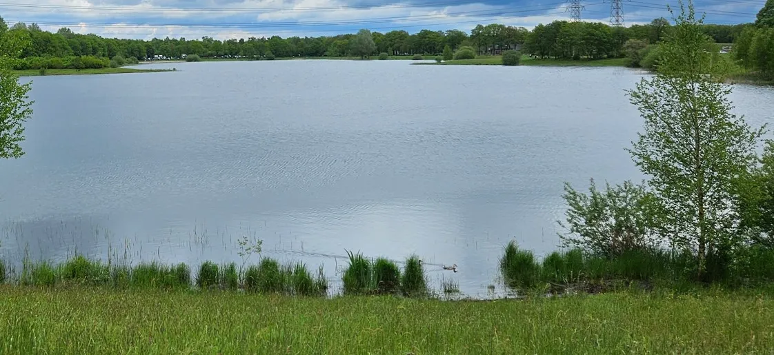 Van wisselvalligheid naar zomerse temperaturen komende week