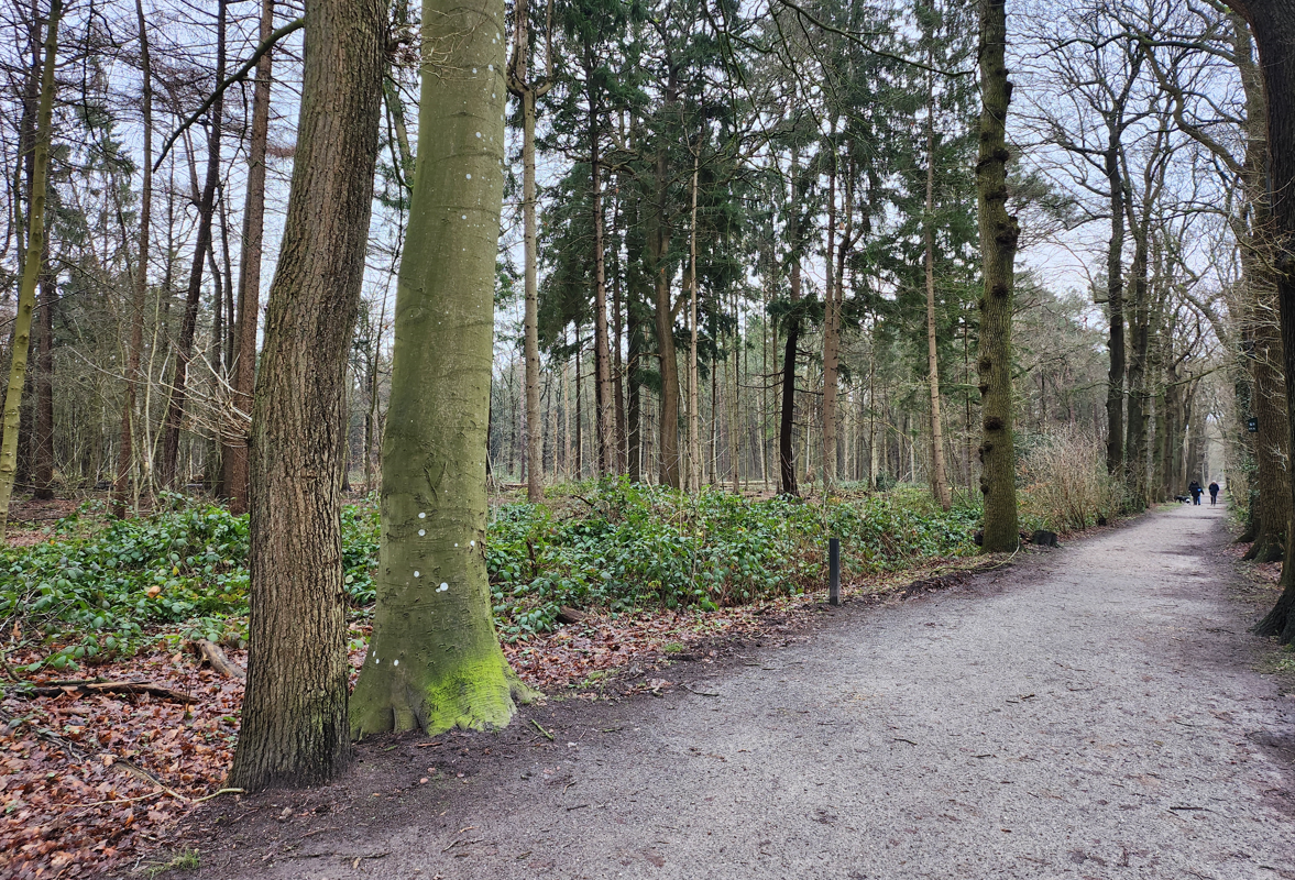 Weekend blijft grijs; kans op ijzel in het noorden