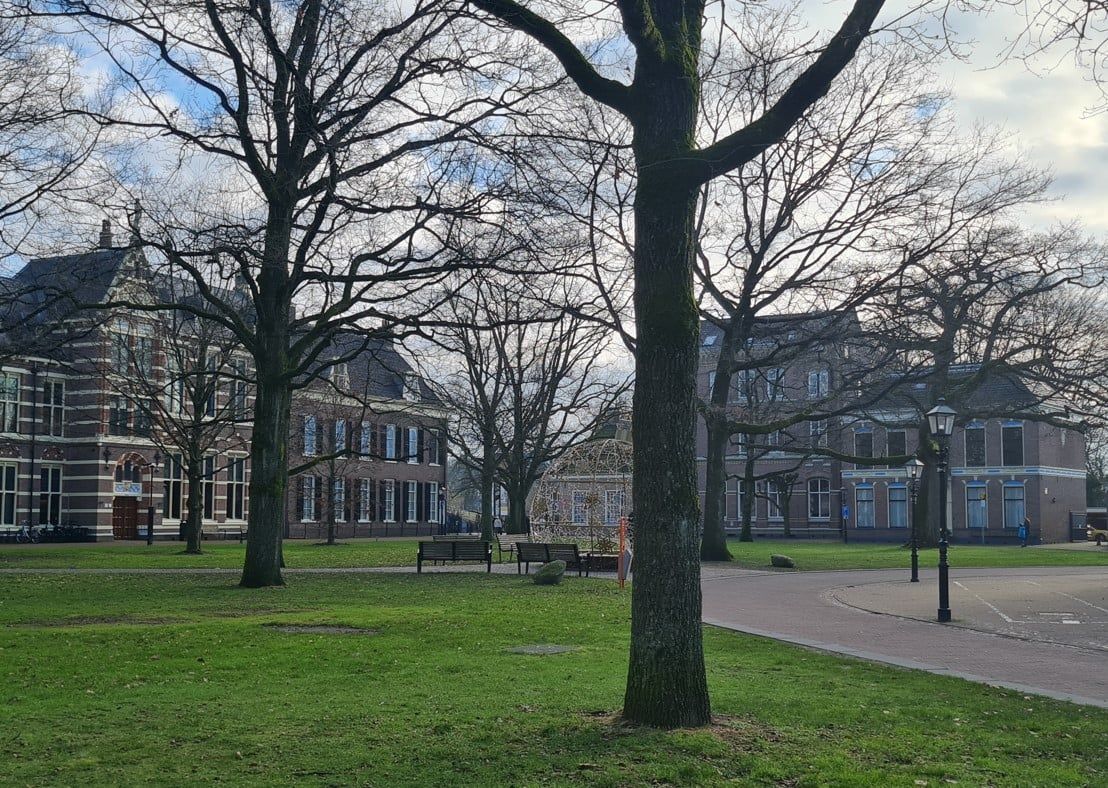 Wolken, soms zon en vrij zacht weer