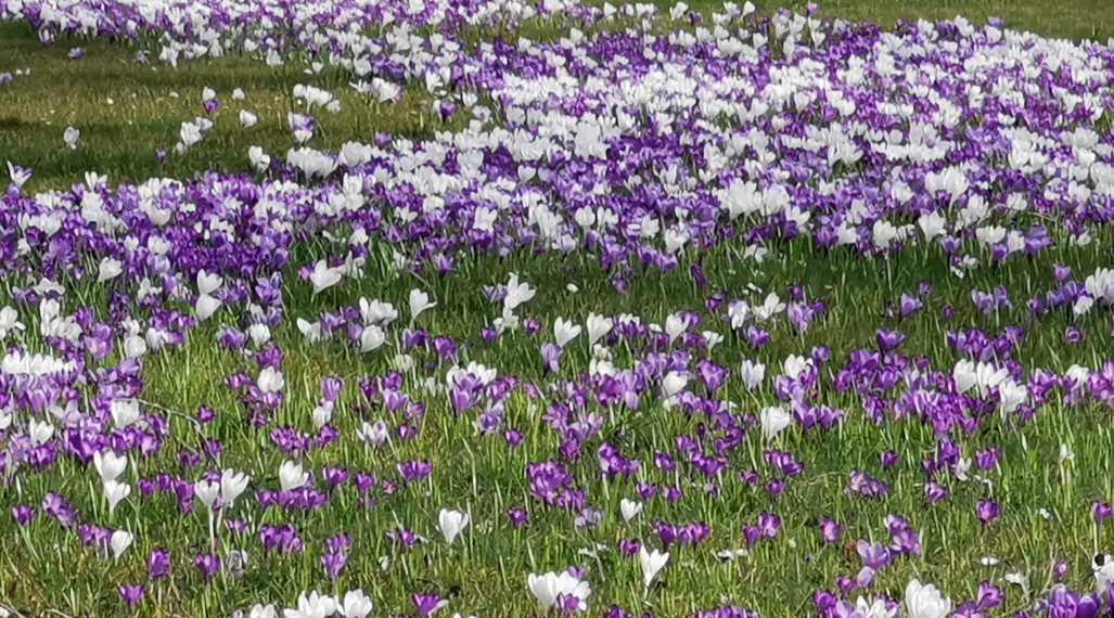 Van wisselvallig naar lenteweer