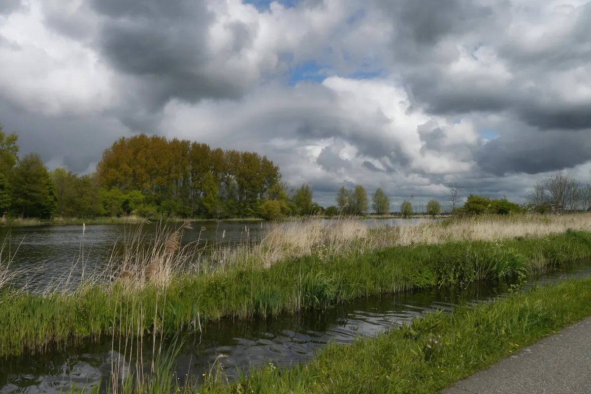 Nieuwe maaiafspraken langs sloten en beken: maaisel blijft vaker liggen