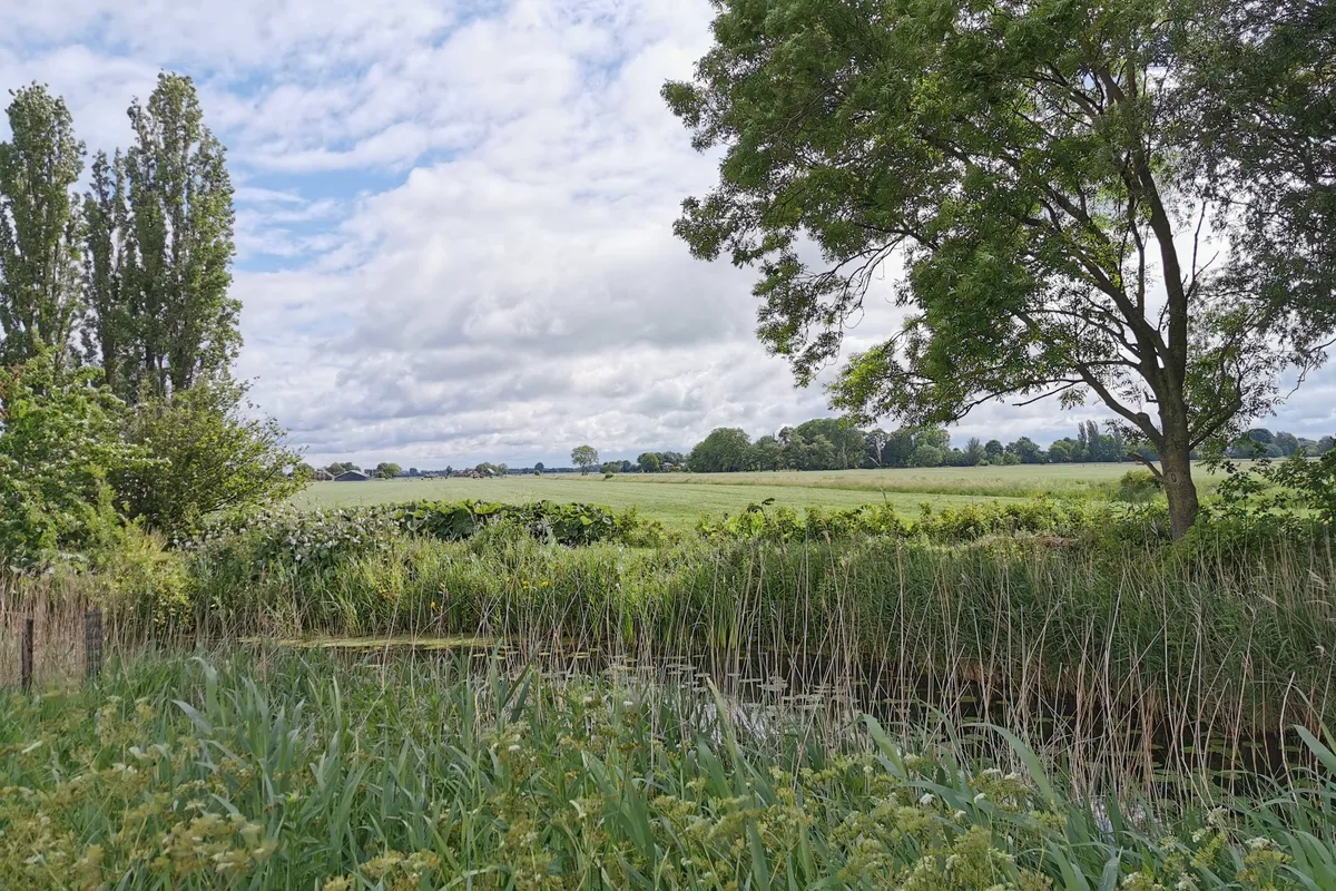 Eerste dagen zomerse warmte, later wisselvalliger