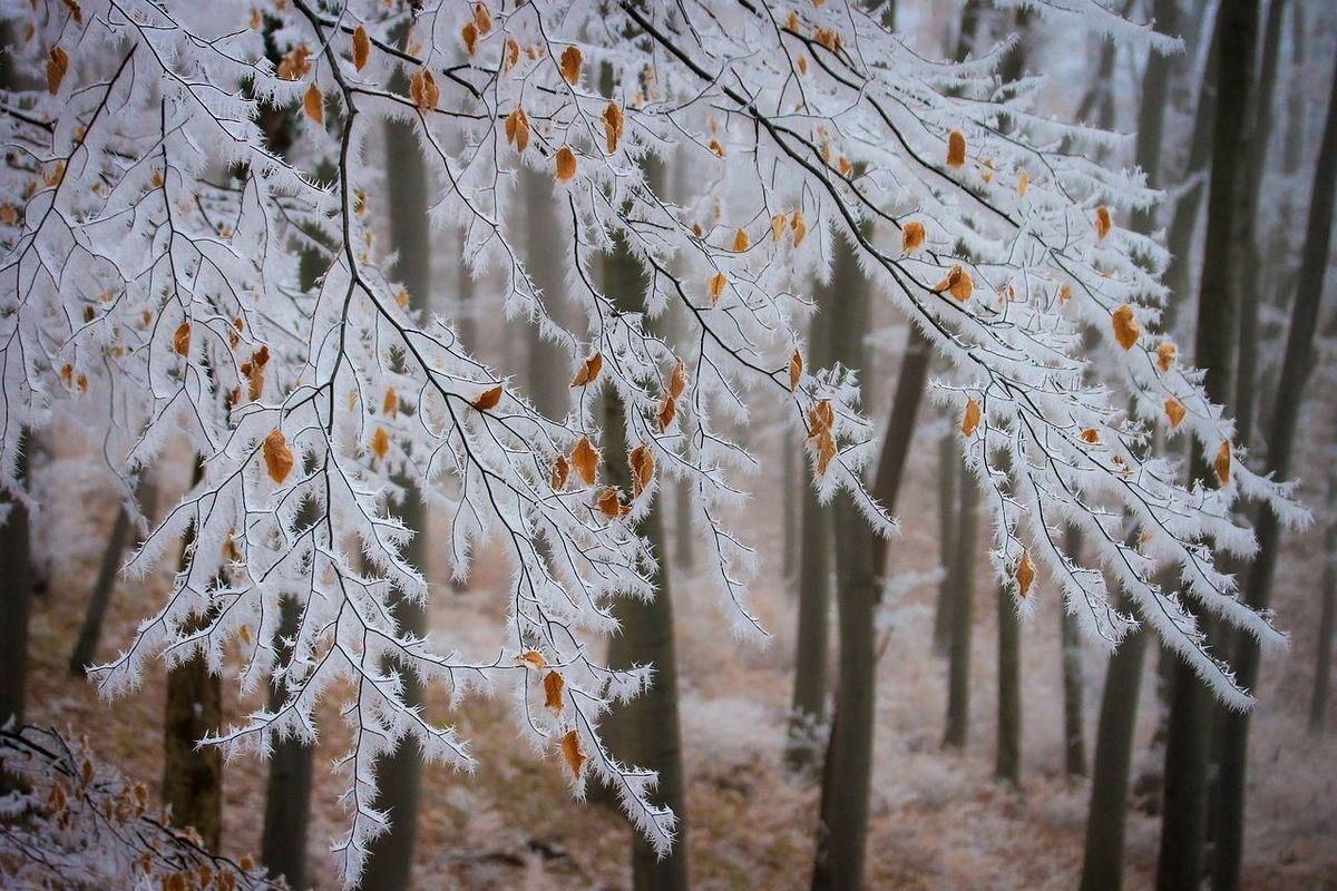 Koude zaterdag met soms zon, zondag kans op (natte) sneeuw