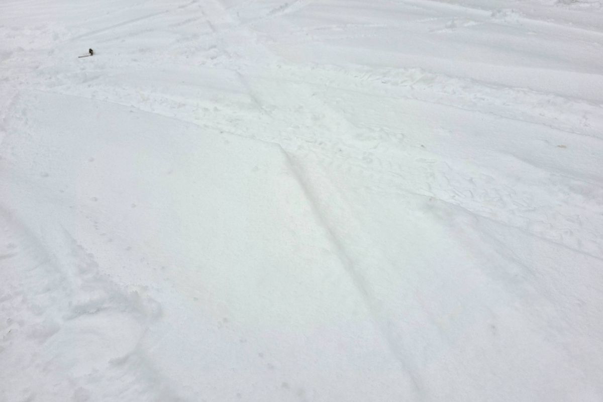 Code oranje vanaf middernacht om sneeuw en wind