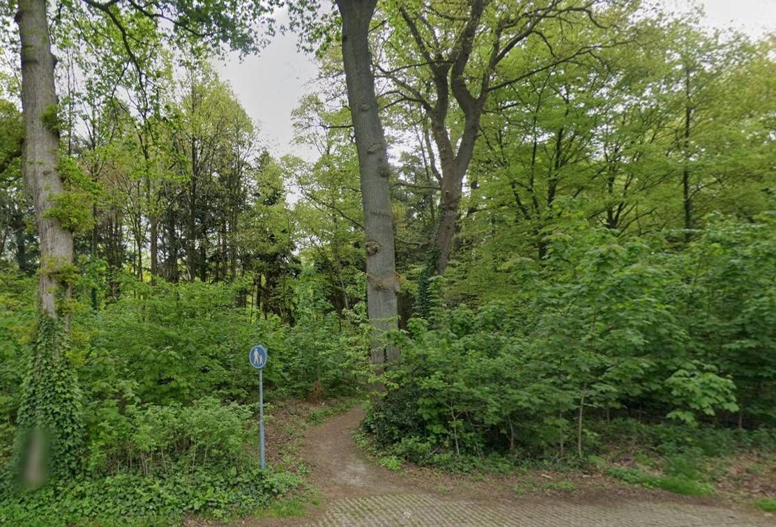 Kale Takken Tocht: Wandelen voor goed doel