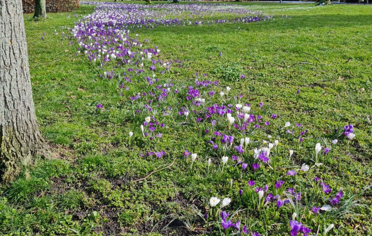 Wisselvallig weekendweer met regen en soms de zon