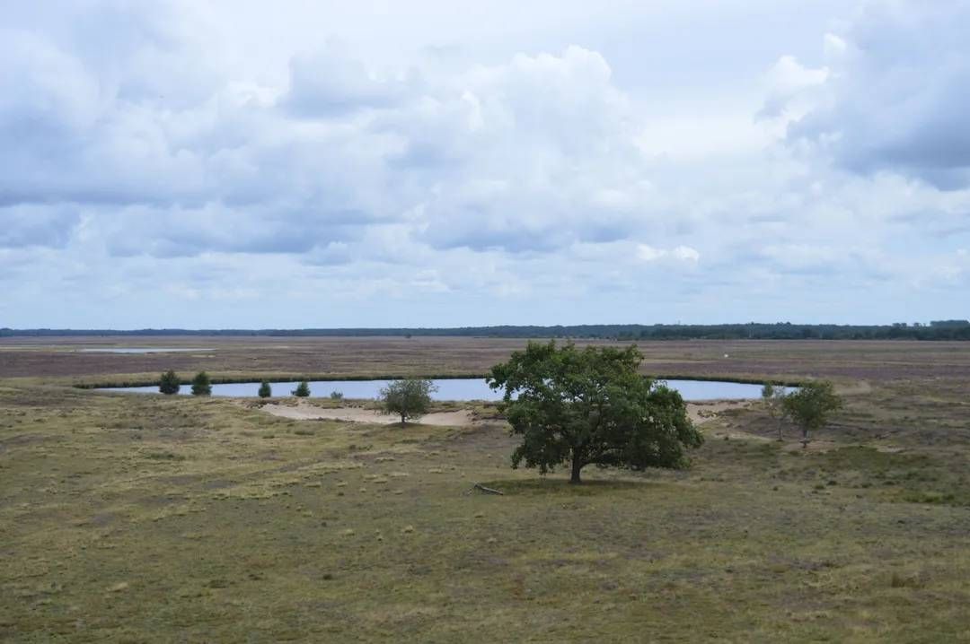 Provincie Drenthe investeert in versterking nationale parken