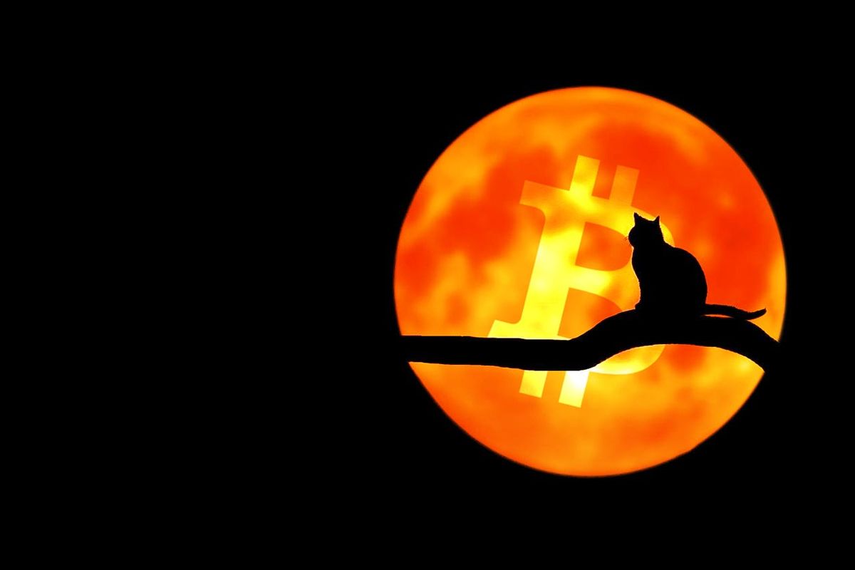 Bitcoin (BTC) stijgt 0% in twee jaar tijd, analysebedrijf ontslaat 39 werknemers