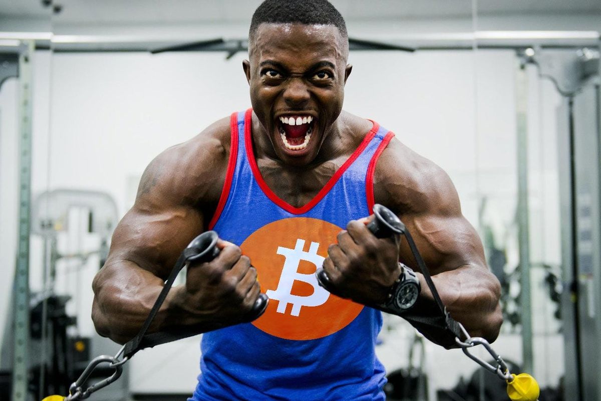 Bitcoin (BTC) koers bij $9.000, PlanB: ‘Bitcoin is géén speeltje meer’