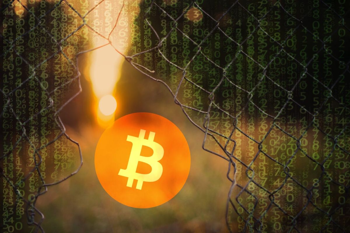 20 jaar celstraf vanwege internetoplichting en illegaal minen van Bitcoin (BTC)