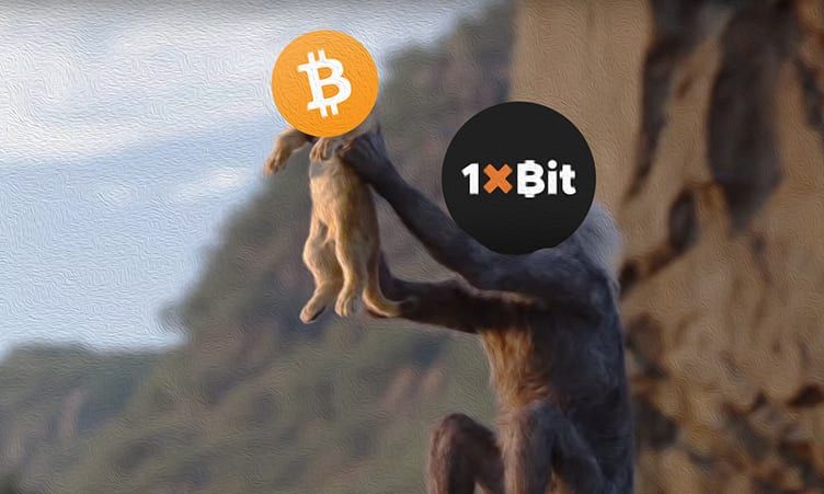 'Bitcoin en crypto adoptie neemt toe door online kansspelen'