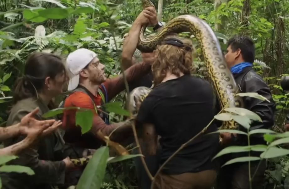 Man die zich levend liet opeten door 's werelds grootste slang had